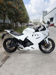 Cyclone RC250 - фото 4