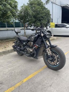 QJMOTOR 600 560 cc - фото 1