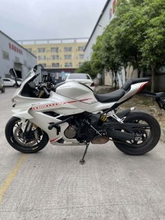 QJMOTOR 600 680 cc - фото 6