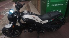 Benelli Leoncino 250 - фото 1