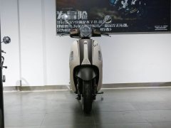 Dayang VRF150 - фото 2