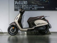 Dayang VRF150 - фото 4