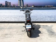 Dadiyingwang 400 - фото 9