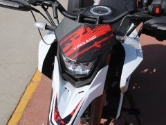 Yingang TAKKEN 250 cc - фото 11