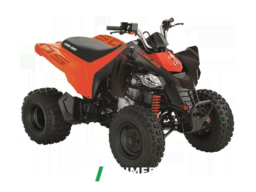 2024 Pangbadi DS 250