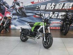 AKMOTOR AK11 125 cc - фото 3