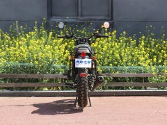 Yingang 200 - фото 6