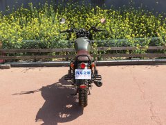 Yingang 200 - фото 9
