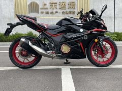 Haojue Suzuki GSX250R - фото 1