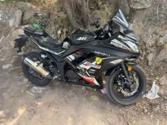 Baodiao BD200-25B - фото 4