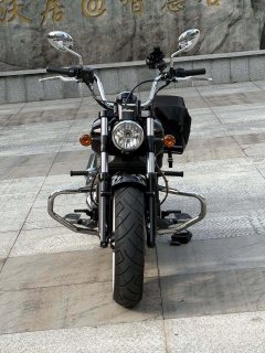 Indian Scout 1133 cc - фото 4