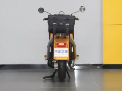 ROYAL ALLOY GP250 - фото 6