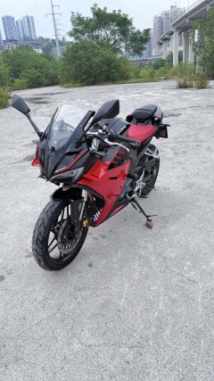 Cyclone RC250 - фото 2