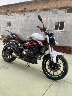 Benelli TNT 300 / BN 302S - фото 4