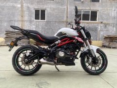 Benelli TNT 300 / BN 302S - фото 5