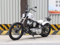 Zeths Naja250 Edition - фото 1