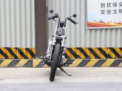 Zeths Naja250 Edition - фото 2