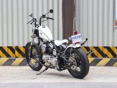 Zeths Naja250 Edition - фото 6