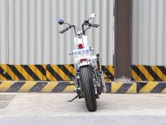 Zeths Naja250 Edition - фото 7