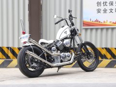 Zeths Naja250 Edition - фото 8