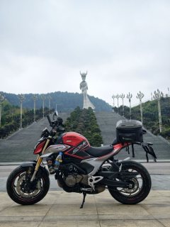 QJMOTOR 550 - фото 3
