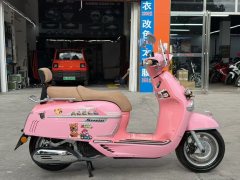 Weiduoliya Sixties 150Si - фото 4