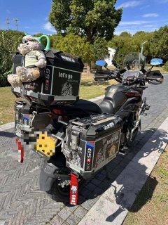 Cyclone RX3S 400 cc - фото 3