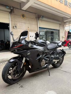 QJMOTOR 600 - фото 3