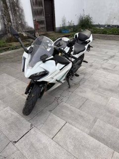 CFMOTO 250SR - фото 2
