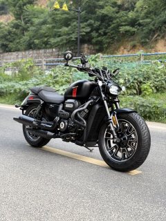 QJMOTOR 250 - фото 1