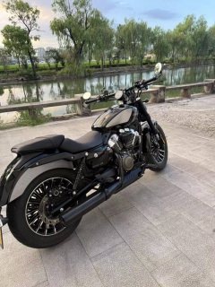 Benda 250 - фото 2