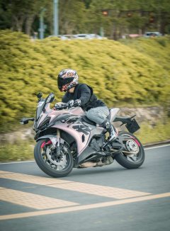 QJMOTOR 450 - фото 4