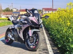 QJMOTOR 450 - фото 5