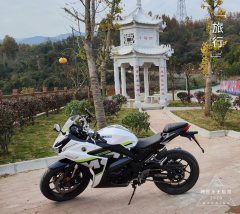 Nuoma 255S 250 cc - фото 5