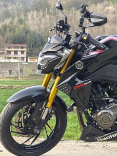 Haojue DR300 - фото 3