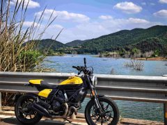 Ducati Scrambler 800 - фото 2