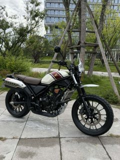 Honda CL300 - фото 1