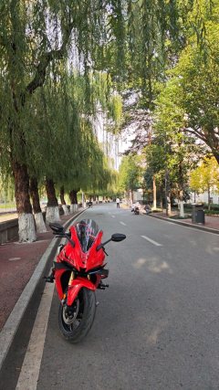 Voge RR660S - фото 1