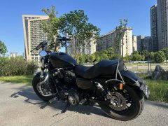 Harley-Davidson Forty-Eight 1200 cc - фото 5