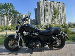 Harley-Davidson Forty-Eight 1200 cc - фото 6