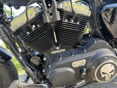 Harley-Davidson Forty-Eight 1200 cc - фото 9