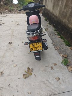 Sundiro Honda Wave110 - фото 3