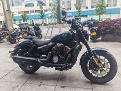 Cyclone AQS250 - фото 3