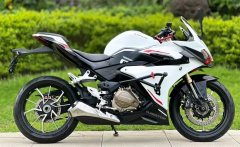 QJMOTOR 450 - фото 4
