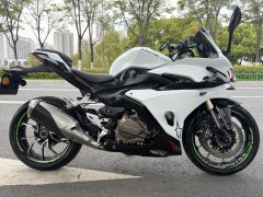 QJMOTOR 450 - фото 1