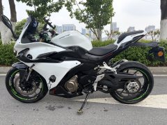 QJMOTOR 450 - фото 2