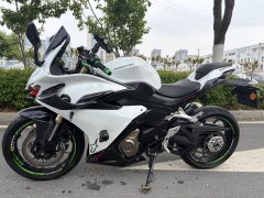 QJMOTOR 450 - фото 3