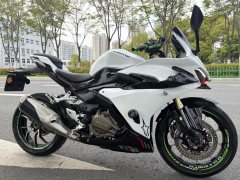 QJMOTOR 450 - фото 4