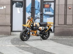 Manken 150 cc - фото 1