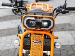 Manken 150 cc - фото 10